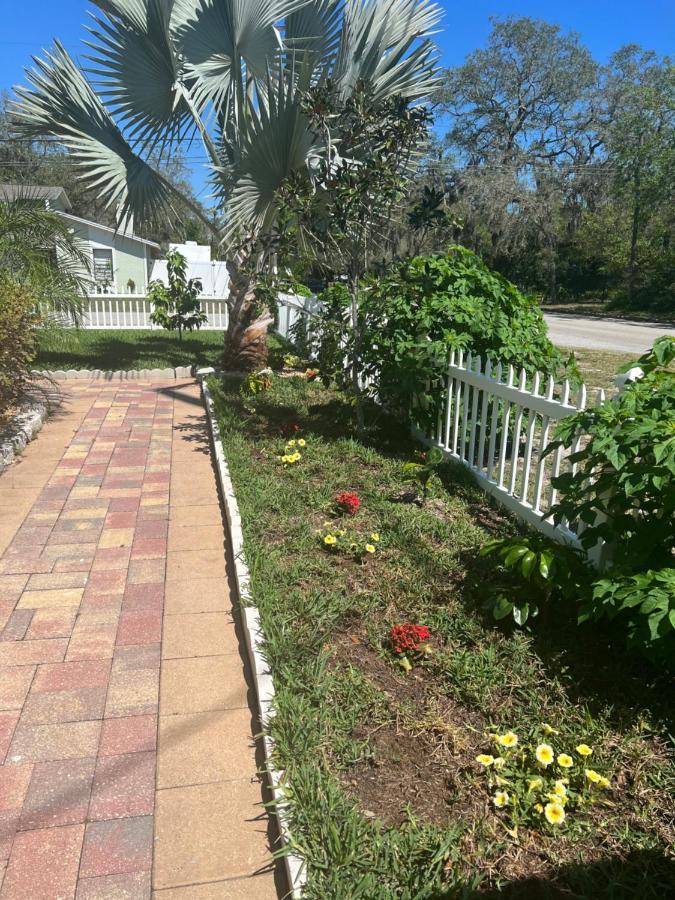 Caribbean Splendor Vacation Rental Near Bush Gardens Tampa Fl Kültér fotó