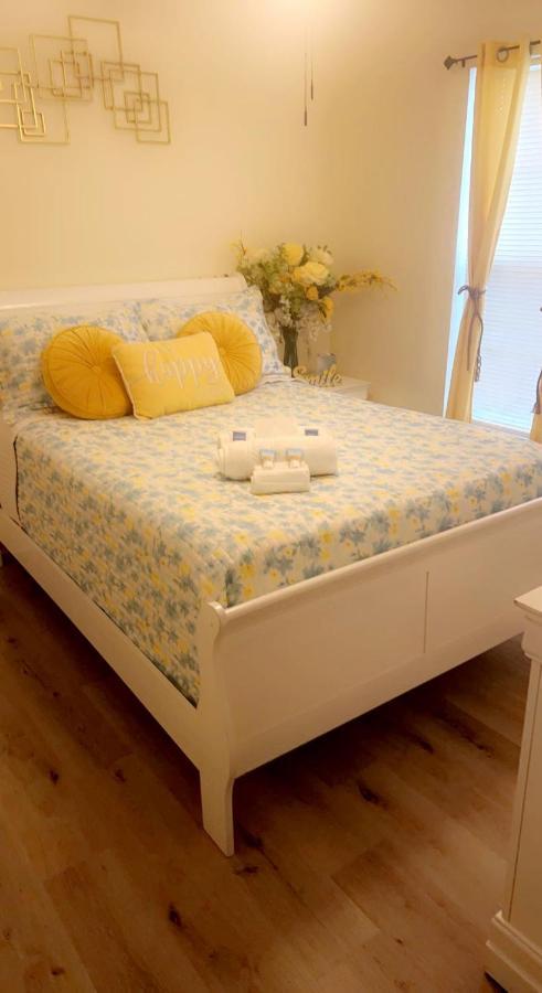 Caribbean Splendor Vacation Rental Near Bush Gardens Tampa Fl Kültér fotó