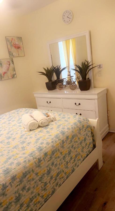 Caribbean Splendor Vacation Rental Near Bush Gardens Tampa Fl Kültér fotó